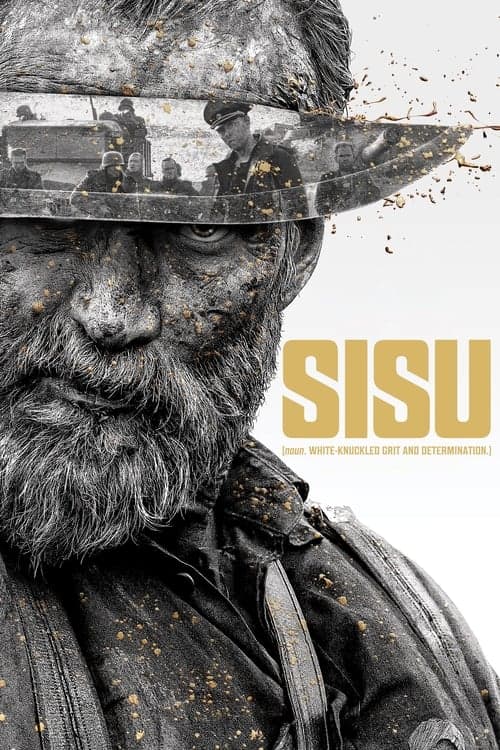 Sisu poster